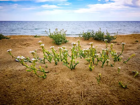 Another Beach Project