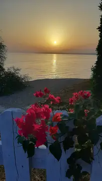 Camping Il Faro
