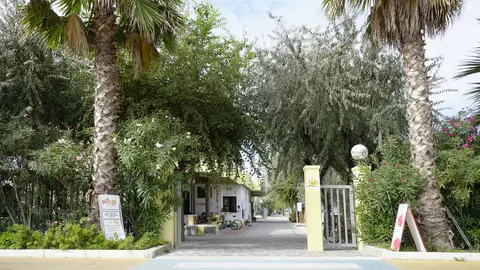 Adriatico