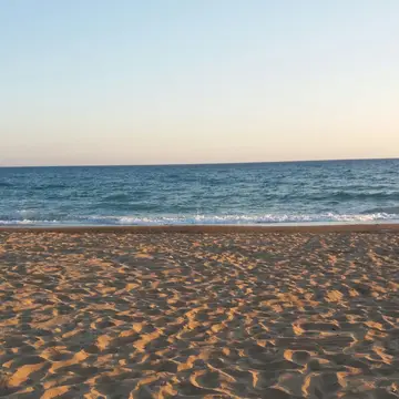 Albachiara