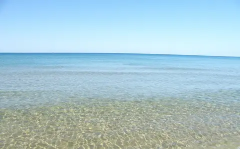 Albachiara