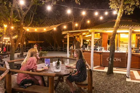 Camping Village Montescudaio