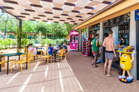 Camping Village Montescudaio