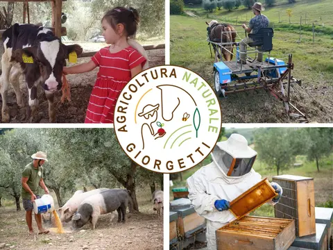 Maneggio Fattoria Giorgetti