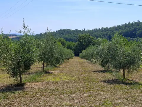 Parcheggio Antico Frantoio Toscano La Macina