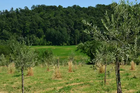 Parcheggio Antico Frantoio Toscano La Macina