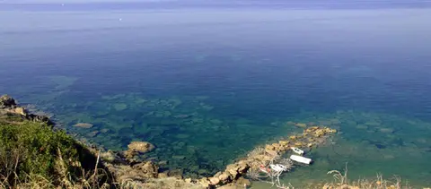 Camping Dell'Uva