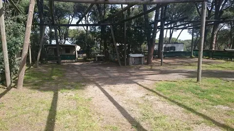 Camping Paluba Ischia