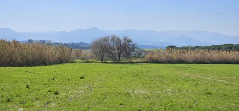 Vagamundo Camping Life