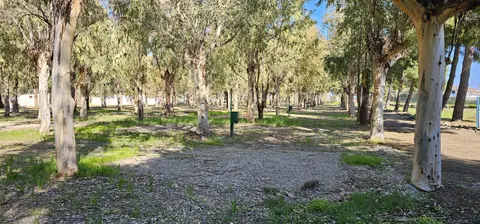 Vagamundo Camping Life