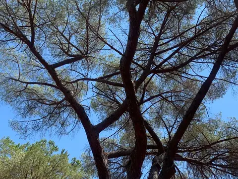 Agriturismo Agricampeggio BioElba