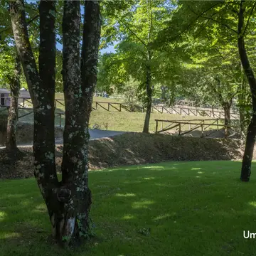 Umbria Camp