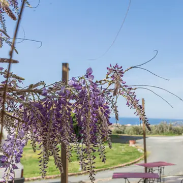 Agrisosta Camper Santissima Annunziata