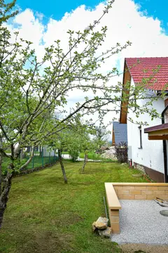 Grajski kamp