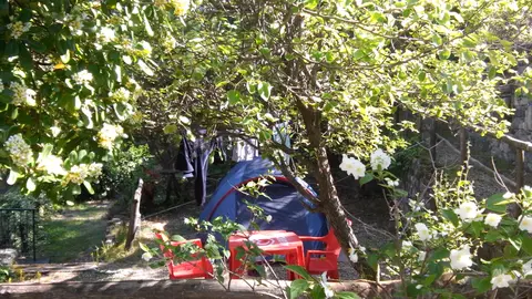 La Pineta
