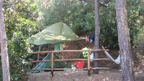 La Pineta
