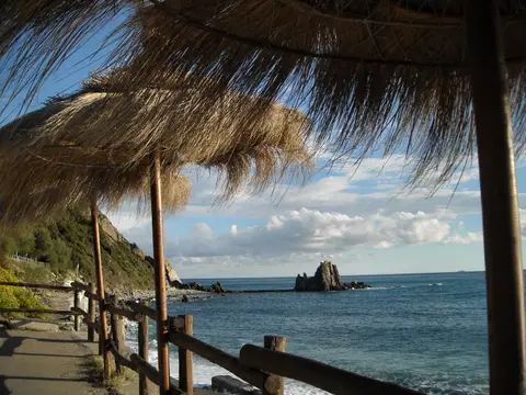 La Pineta