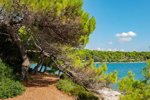 Horizonte Camp Veruda Island