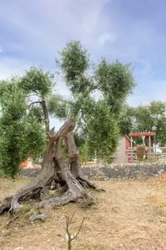 Agriturismo Passione Natura