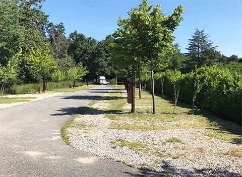 Safari Park