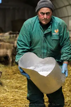 Agricamping Brandimarte