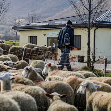 Agricamping Brandimarte