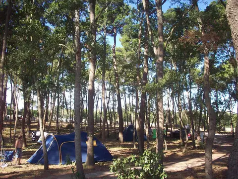 Camping Bosco Selva
