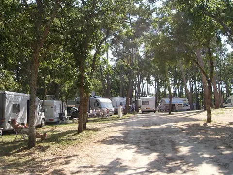 Camping Bosco Selva