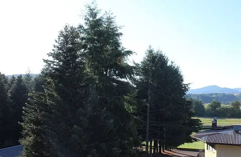 Camping La Fattoria