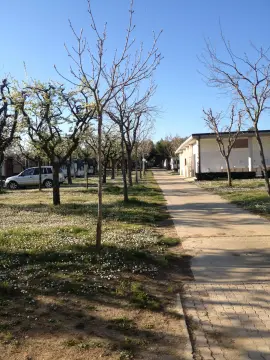 Il Frutteto