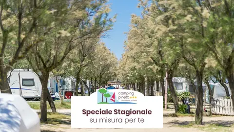 Camping Pineta