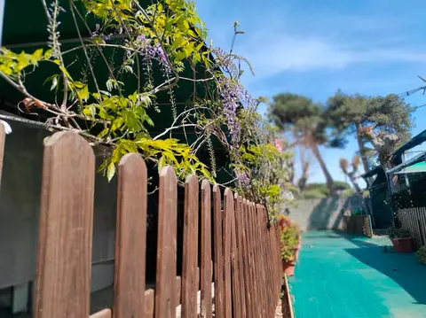 Camping Marina di Ulisse