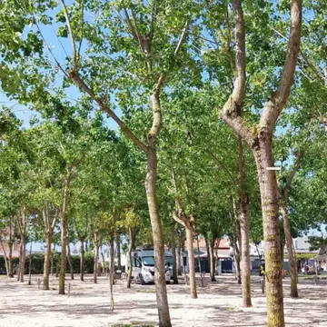 Area camper Alta Marea