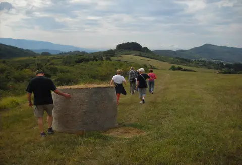 Poggio degli Uccellini