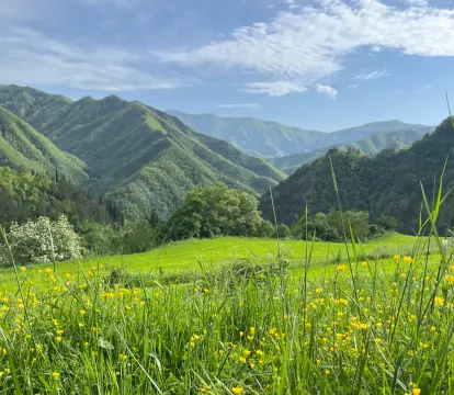 Corniolo Wood Camping