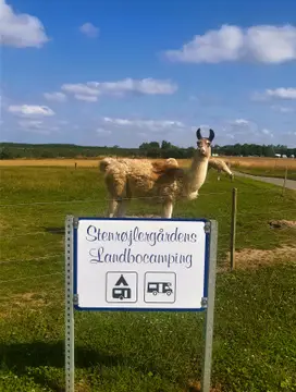 Stenrøjlergårdens LandboCamping