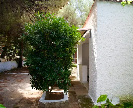 Camping Nessuno
