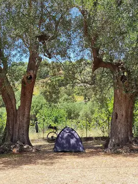 Camping Lentiscella