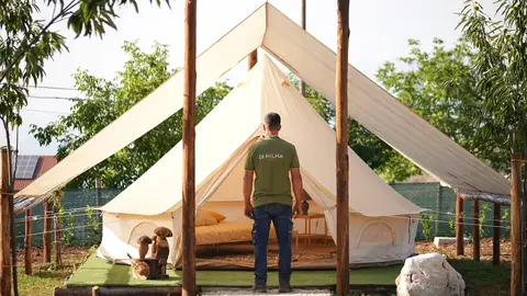Di Palma Glamping