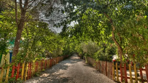 Camping La Foce dei Tramonti