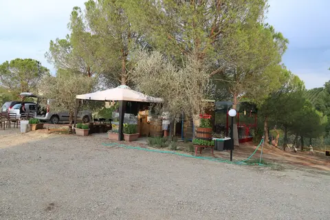 Agricampeggio Poggio ai Pini