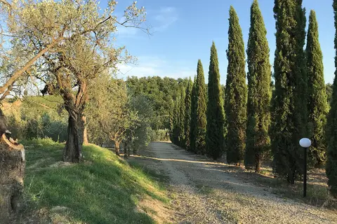 Agricampeggio Poggio ai Pini