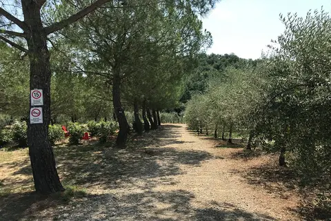 Agricampeggio Poggio ai Pini