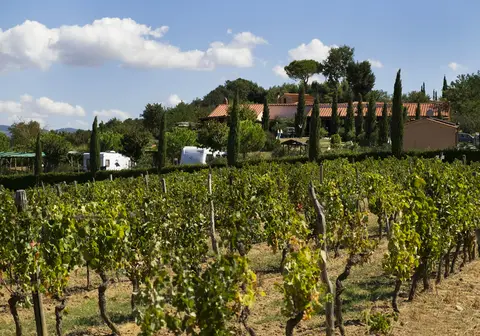 Agricampeggio La Serra del Pino