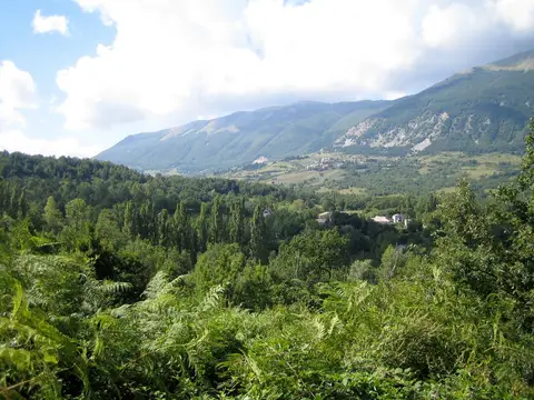 Agricampeggio Colle dei Lupi