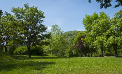 Panoráma Kemping
