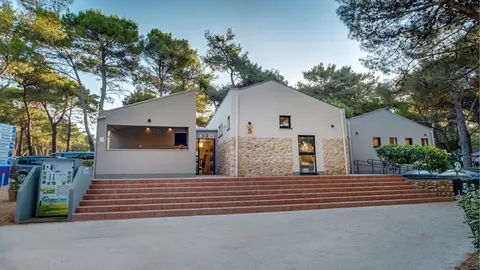 Čikat