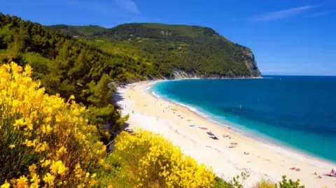 Camping Club Internazionale