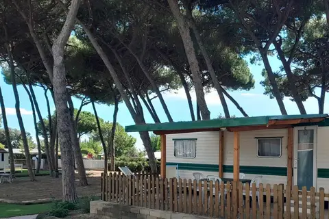 Blue Camping