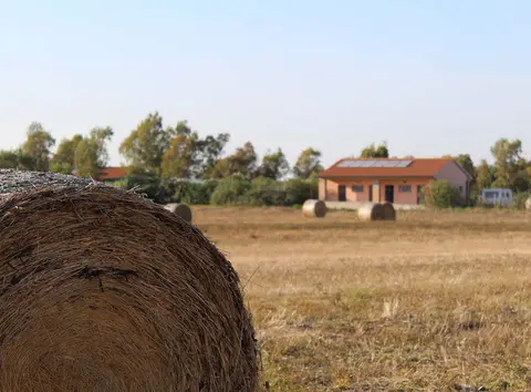 Calips agricampeggio